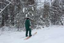 Зимний учет диких животных стартовал в Нижегородской области