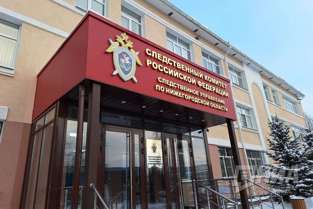 Бастрыкин потребовал доклад по делу о смерти младенца в Кстове