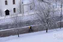 Нижегородские рестораторы жалуются на высокие комиссии сервисов доставки