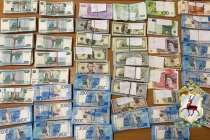 Около 50 млн рублей нашли в коттедже у и.о. главврача нижегородской ГКБ №33