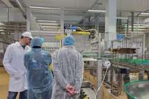 Нижегородское предприятие увеличит выработку молочки благодаря Производительности труда