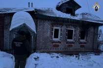 Уголовное дело завели после гибели двоих детей на пожаре в Лысковском округе
