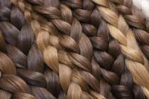 Мигрант пытался ввезти в Нижний Новгород более 10 кг человеческих волос