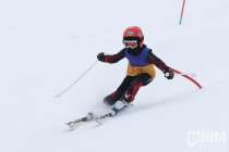 Нижегородская область отменила взносы для части спортсменов до 18 лет