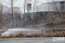 Нижегородская мэрия создала штаб для борьбы с лесными и торфяными пожарами