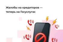 Нижегородцы могут пожаловаться на неправомерные звонки кредиторов на Госуслугах