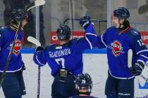 Чайка разгромила Белых Медведей со счётом 6:1 во втором матче серии