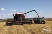 Нижегородские аграрии получат 2,5 млрд рублей господдержки