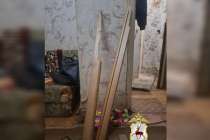 Нижегородец жестоко избил пенсионерку наличником от двери