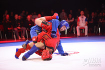 Всероссийские соревнования памяти бойцов СВО по боевому самбо