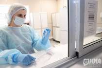 Нижегородцам объяснили, грозит ли им смертоносный вирус из США