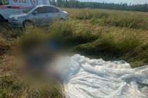 Нижегородский десантник разбился во время прыжка с парашютом в День ВДВ