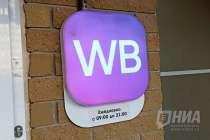 Около 50 нижегородских продавцов WB обратились за поддержкой к властям