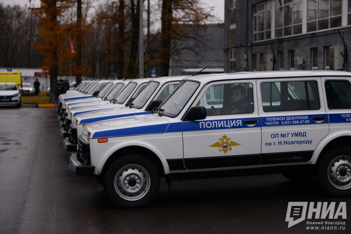 Полиция проводит проверку после сообщений о погибших собаках в Дзержинске