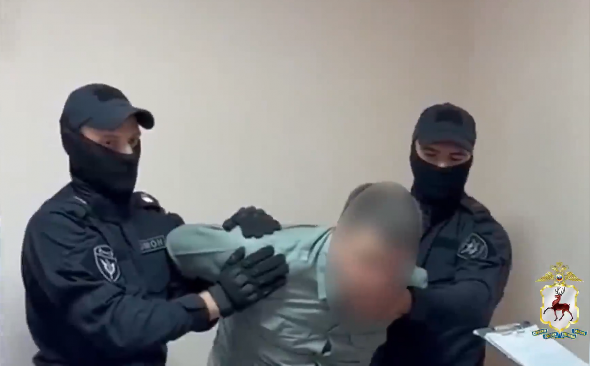 Организованную группу будут судить за хищение льготного леса на 72 млн рублей